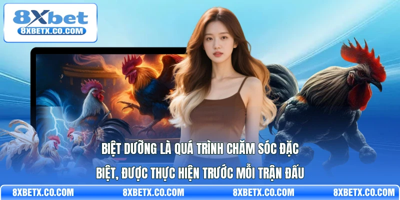 Biệt dưỡng là quá trình chăm sóc đặc biệt, được thực hiện trước mỗi trận đấu 