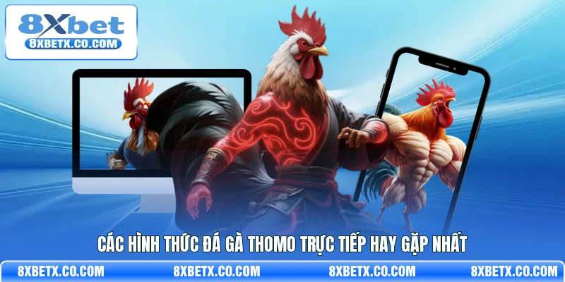 Các hình thức đá gà Thomo trực tiếp hay gặp nhất