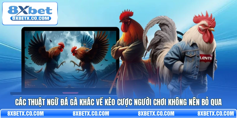 Các thuật ngữ đá gà khác về kèo cược người chơi không nên bỏ qua