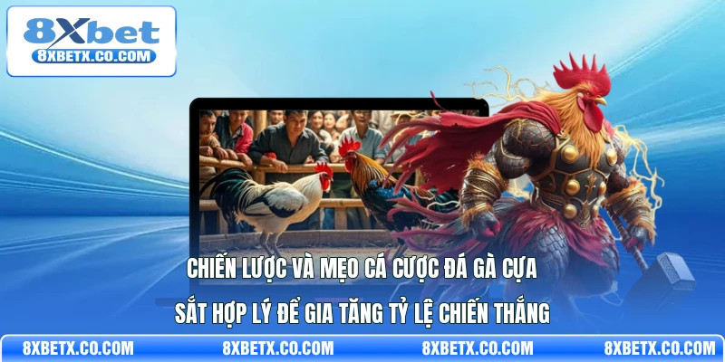 Chiến lược và mẹo cá cược đá gà cựa sắt hợp lý để gia tăng tỷ lệ chiến thắng