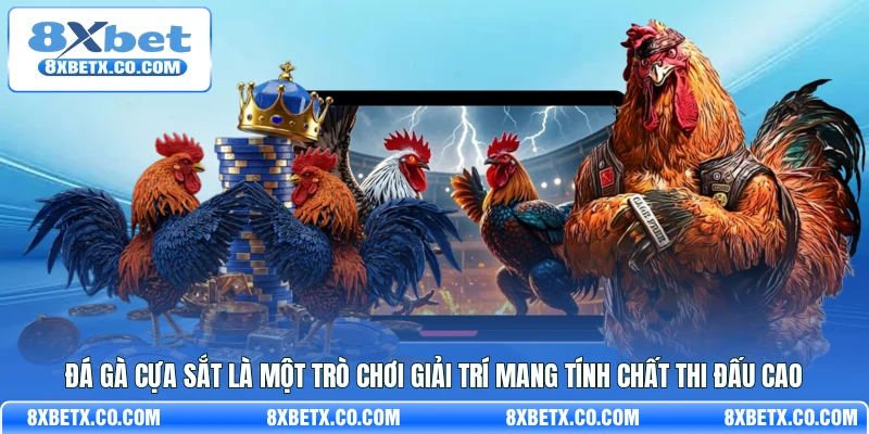 Đá gà cựa sắt là một trò chơi giải trí mang tính chất thi đấu cao
