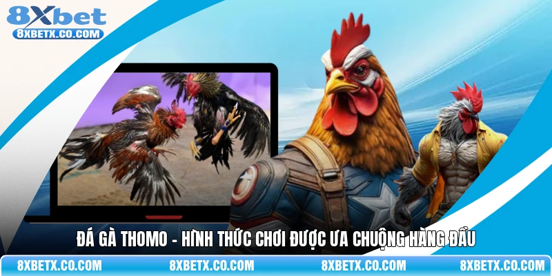 Đá gà Thomo - Hình thức chơi được ưa chuộng hàng đầu