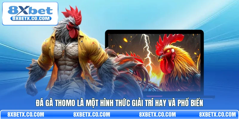 Đá gà Thomo là một hình thức giải trí hay và phổ biến
