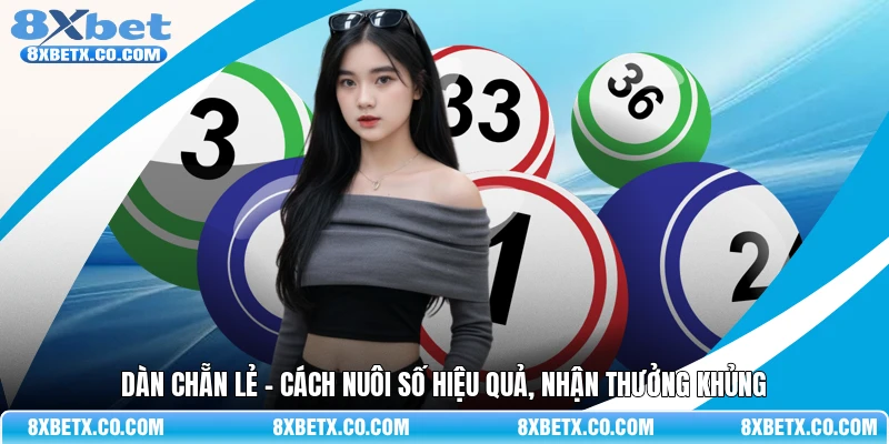 Dàn chẵn lẻ - Cách nuôi số hiệu quả, nhận thưởng khủng