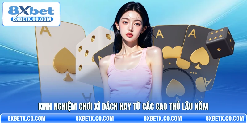 Kinh nghiệm chơi xì dách hay từ các cao thủ lâu năm