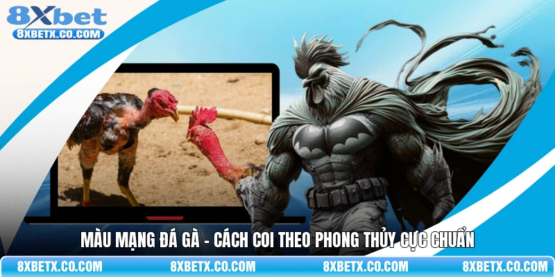 Màu mạng đá gà - Cách coi theo phong thủy cực “chuẩn”