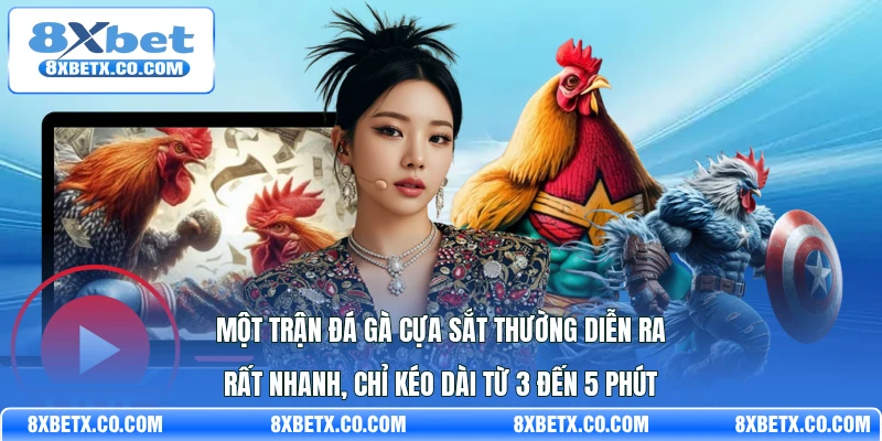 Một trận đá gà cựa sắt thường diễn ra rất nhanh, chỉ kéo dài từ 3 đến 5 phút