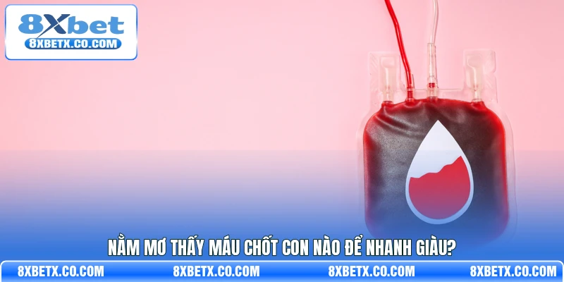 Nằm mơ thấy máu chốt con nào để nhanh giàu?