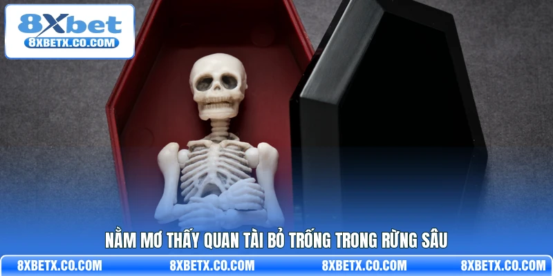 Nằm mơ thấy quan tài bỏ trống trong rừng sâu