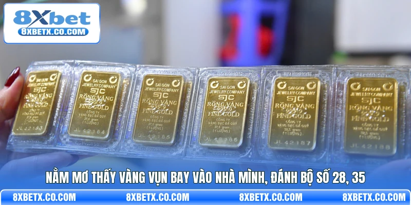 Nằm mơ thấy vàng vụn bay vào nhà mình, đánh bộ số 28, 35