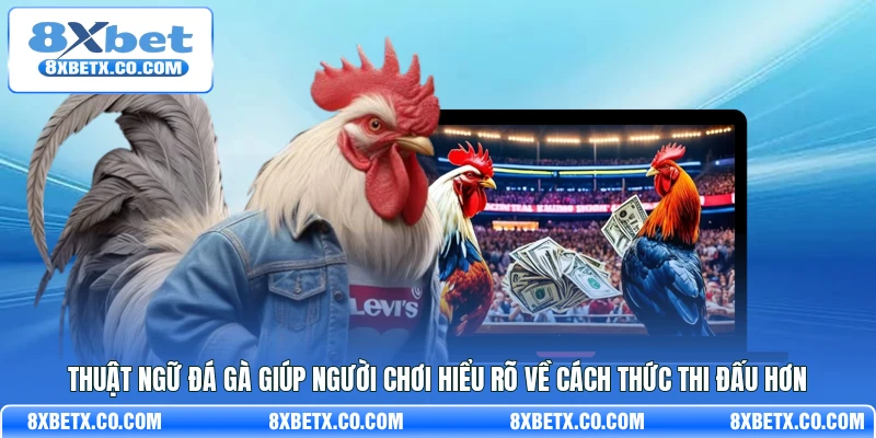 Thuật ngữ đá gà giúp người chơi hiểu rõ về cách thức thi đấu hơn