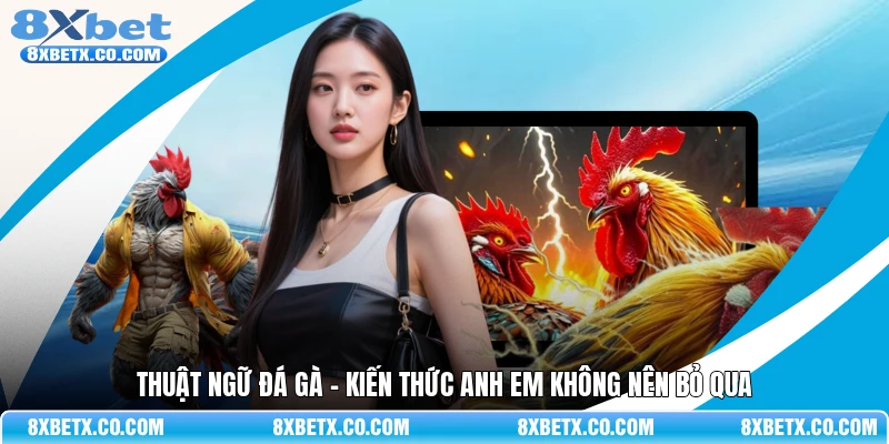 Thuật ngữ đá gà - Kiến thức anh em không nên bỏ qua