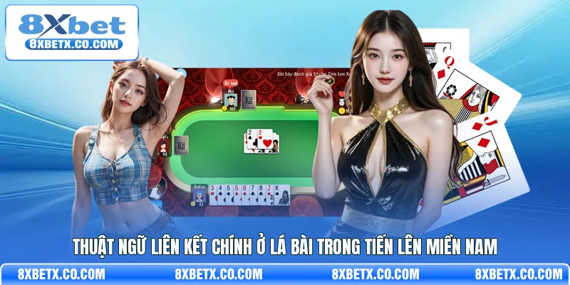 Thuật ngữ liên kết chính ở lá bài trong Tiến Lên Miền Nam