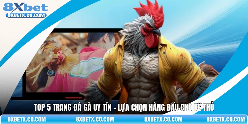 Top 5 trang đá gà uy tín – Lựa chọn hàng đầu cho kê thủ
