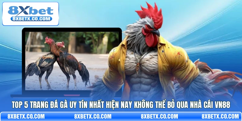 Top 5 trang đá gà uy tín nhất hiện nay không thể bỏ qua nhà cái VN88