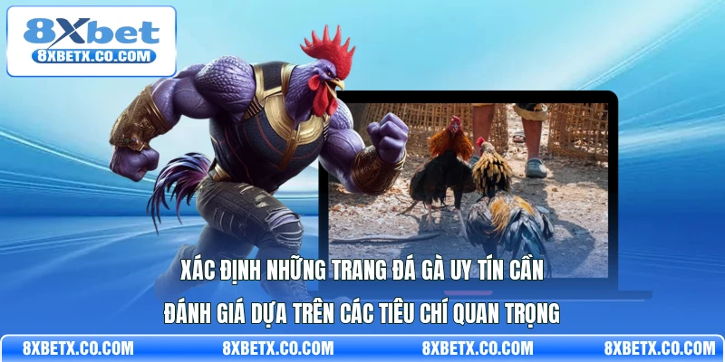 Xác định những trang đá gà uy tín cần đánh giá dựa trên các tiêu chí quan trọng