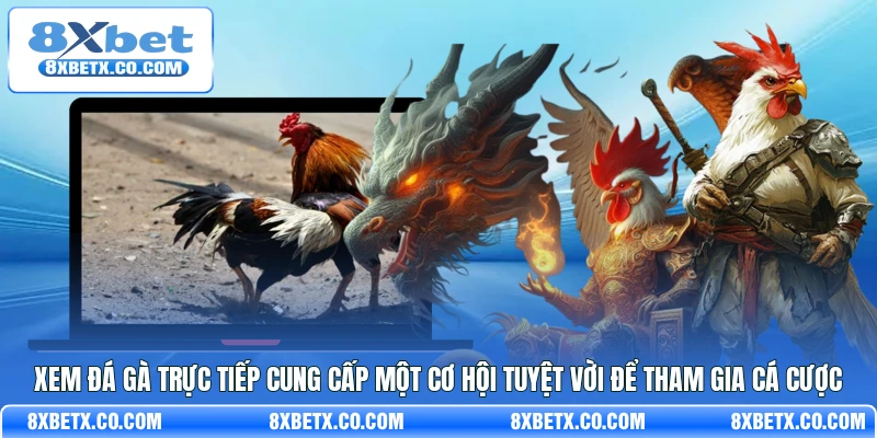 Xem đá gà trực tiếp cung cấp một cơ hội tuyệt vời để tham gia cá cược