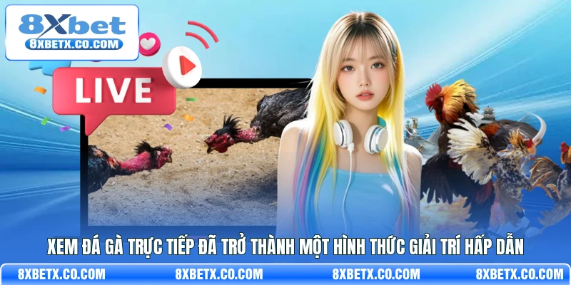 Xem đá gà trực tiếp đã trở thành một hình thức giải trí hấp dẫn